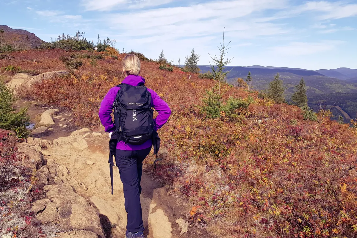 Jahresversicherung - Single full abschliessen